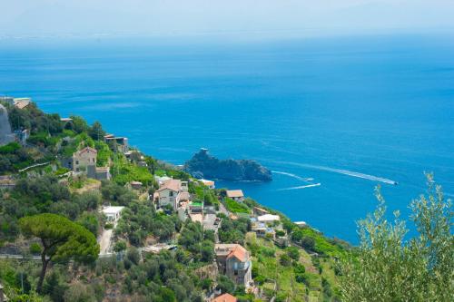  Amalfi Coast Bougainvillea in Furore