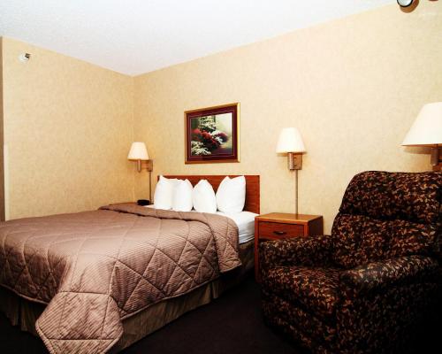 1 queen bed