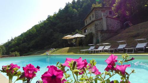 Holiday villa with pool, Mulino del Pita