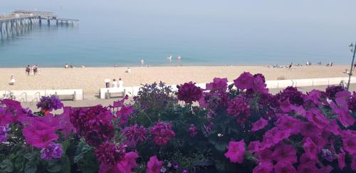 Waterfront Hotel - image 10