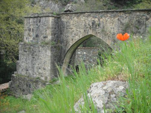 Archontiko I Misirlou - image 5