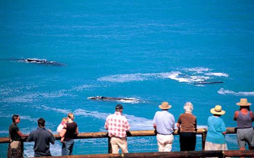 Victor Harbor Holiday & Cabin Park Ideally located in the Victor Harbor area, Victor Harbor Holiday & Cabin Park promises a relaxing and wonderful visit. The property offers a high standard of service and amenities to suit the individu