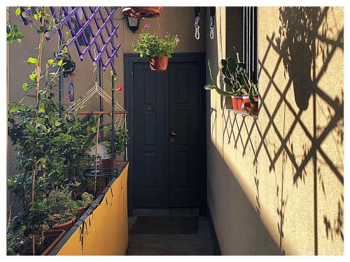 Wellbeing, Milán (fotografie 7)