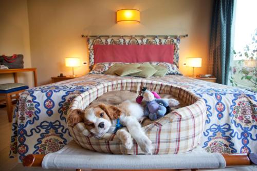 1 queen bed, 1 twin bed