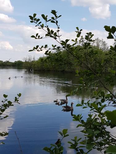 Tudor Cottage in Fairford