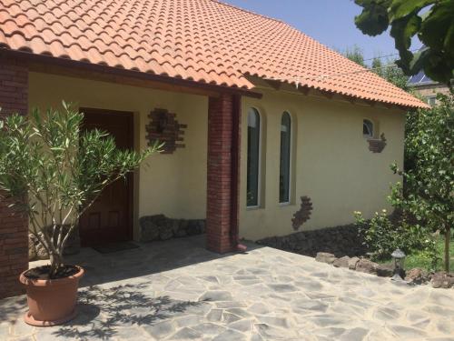 Yellow Guest House