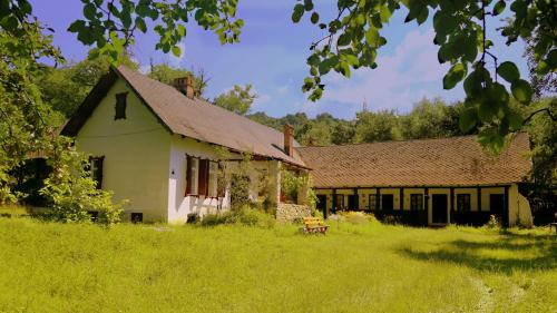 Casa Memoriala George Stephanescu - Location saisonnière - Căpăţîneni-Ungureni