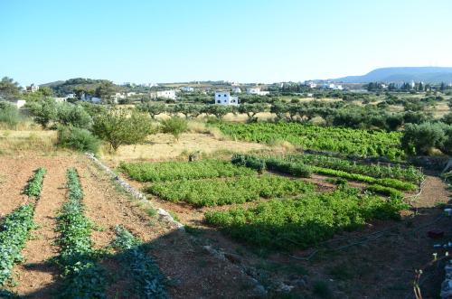 Theofilos Appartements