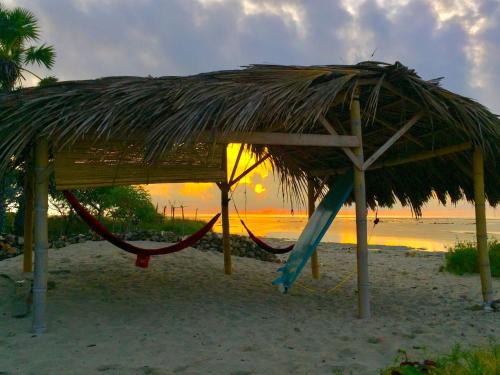 Exterior view, Beach Hut by S.A.R. in Wula Waiijelu