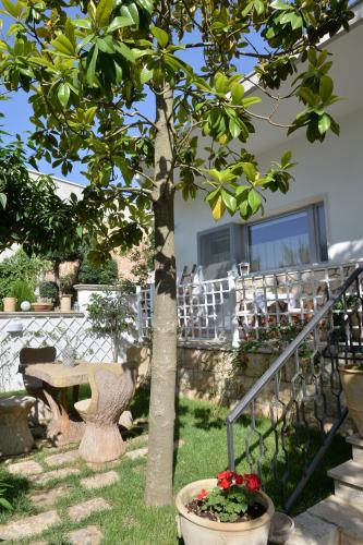 Alba dei Trulli – Alberobello, LA