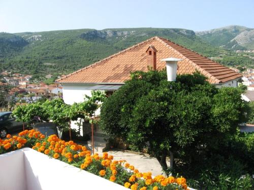  Jelsa Apartments in Jelsa