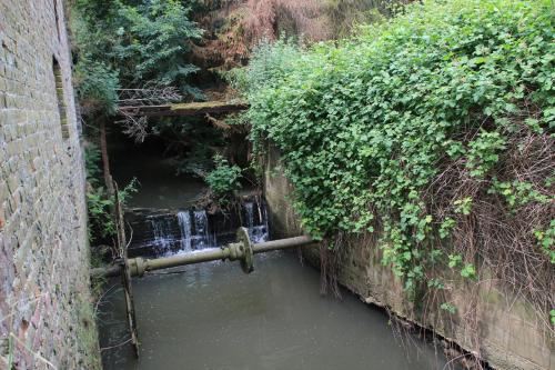  Dotter 17 in Erpe-Mere