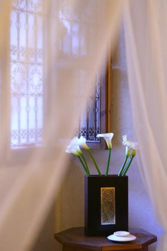 Riad CHERRATA - image 4