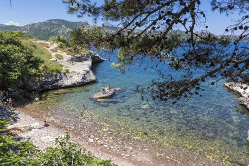 Résidence Odalys Casa d'Orinaju - image 14