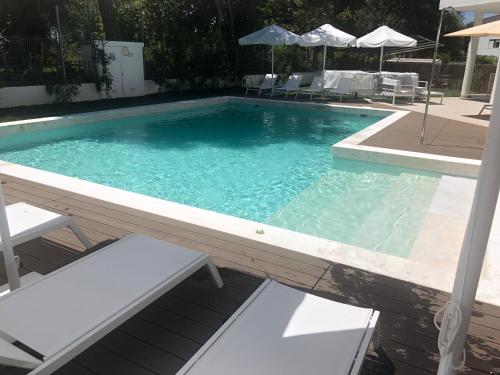Evora Olive Hotel - image 8