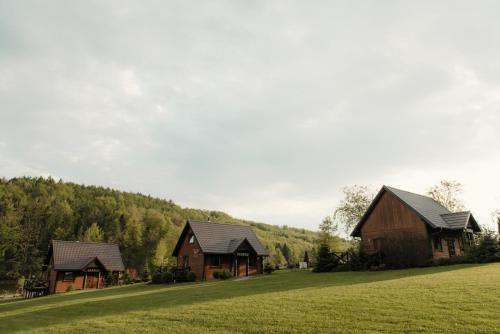 Dārzs, Wodny Swiat in Ostrzyce