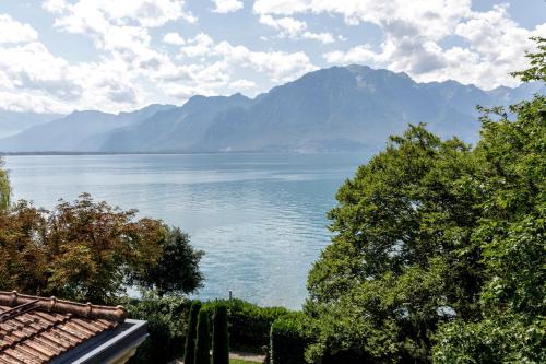 Villa Kruger Boutique Hotel B&B - image 7