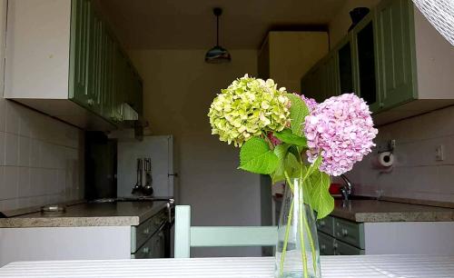 Adelia in Mali Losinj Városközpont