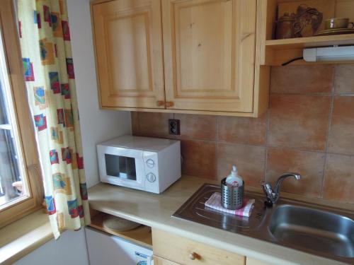 Kitchen, Pension Apartmany Sport Cermak in Harrachov