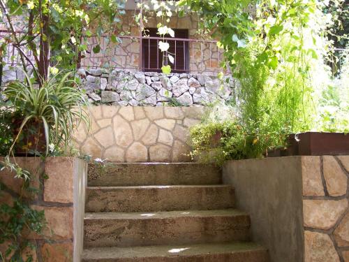  Apartment GREEN Jelsa in Jelsa