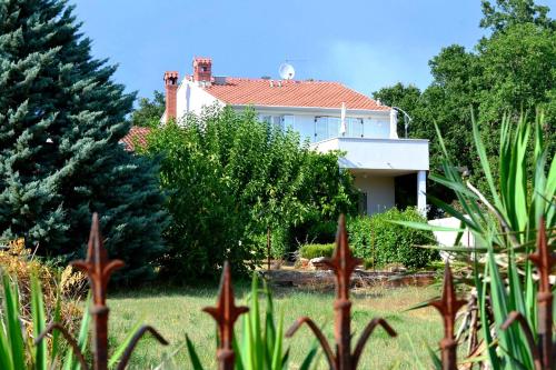  Apartment Ari in Novigrad