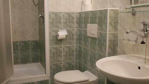Hotel Bílý Koníček - image 13