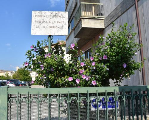 B&B Tufilla