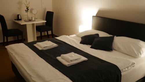 Hotel Bílý Koníček - main image