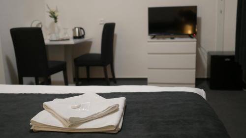 Hotel Bílý Koníček - image 11