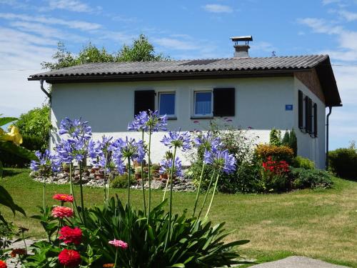 Bungalows Raschun Grabelsdorf Etruskerweg 10 A-9122 St.Kanzian in Grabelsdorf