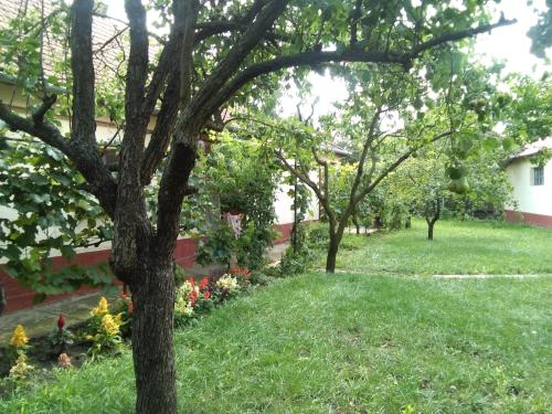  KUCKÓ VENDÉGHÁZ in Püspökladány