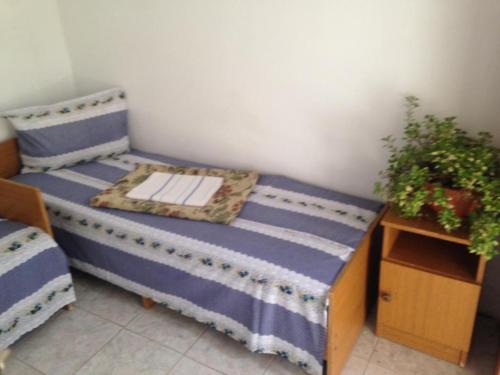 Ekaterina - image 6