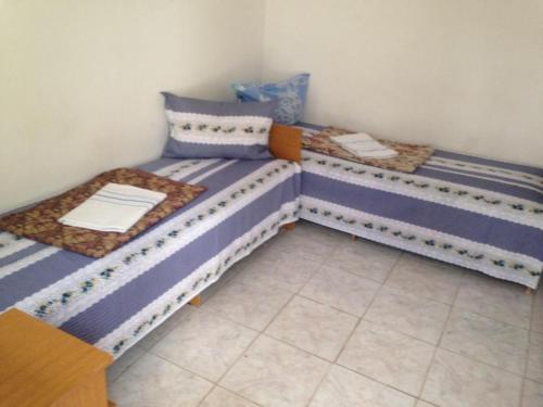 Ekaterina - image 7