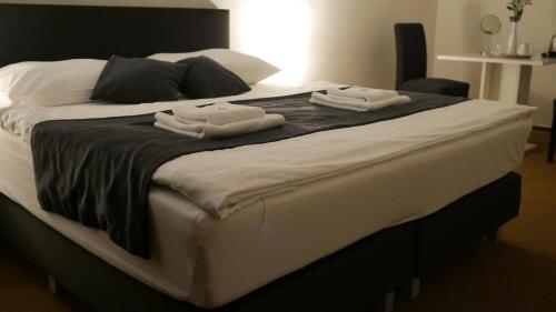 Hotel Bílý Koníček - Třeboň