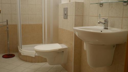 Hotel Bílý Koníček - image 5