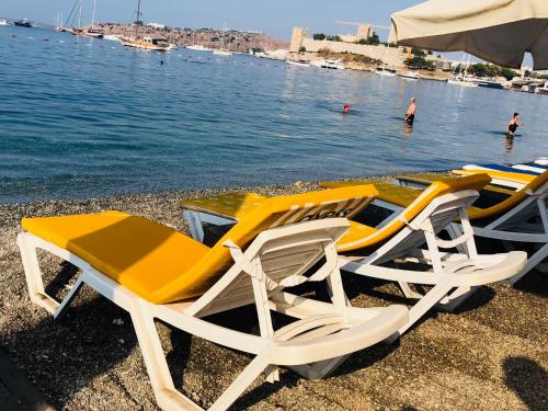 Akkan Plus Hotel Bodrum Turkiye Agoda Com Dan En Uygun Fiyatlar