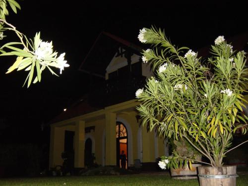  Nitt Pince és Panzió in Kisharsány