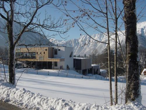 Oase Berta - image 8