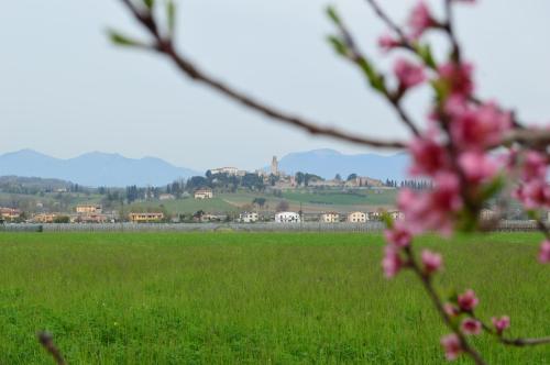  Appartamento Mi.Lu, Pension in Susegana bei Vazzola