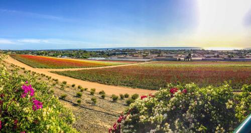 Grand Pacific Palisades Resort in Carlsbad, USA