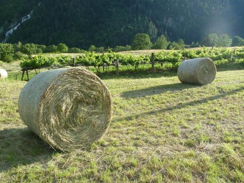  La Pâquerette in La Salle
