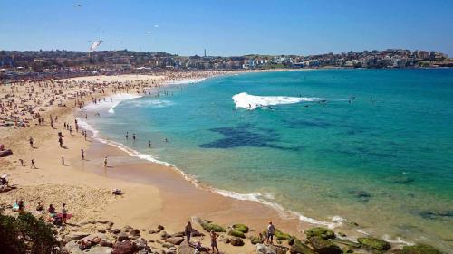 Bondi Beach Backpackers - main image