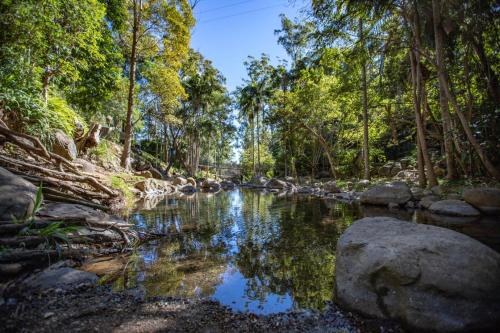 Cedar Creek Lodges