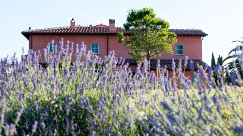 Agriturismo Le Tassinaie