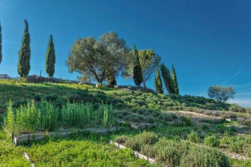 Agriturismo Le Tassinaie