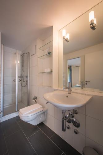 Chalet Wyssbirg Chalet Wyssbirg