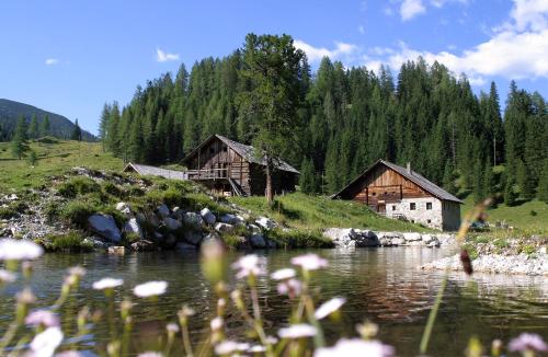 Alpin Life Resort Lürzerhof