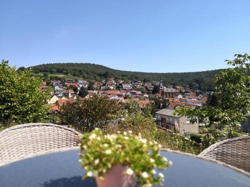 Surrounding environment, Ferienwohnungen Schallenberg - Gross-Umstadt in Gross-Umstadt