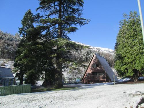 Drimsynie Estate Hotel - image 3