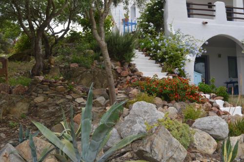 Casa Shezella - image 7